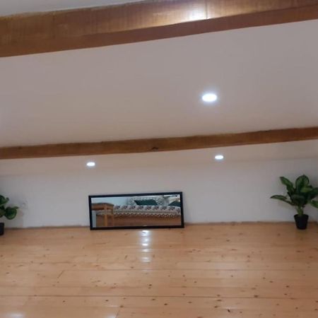 Appartement Le Bonheur Pibrac Luaran gambar